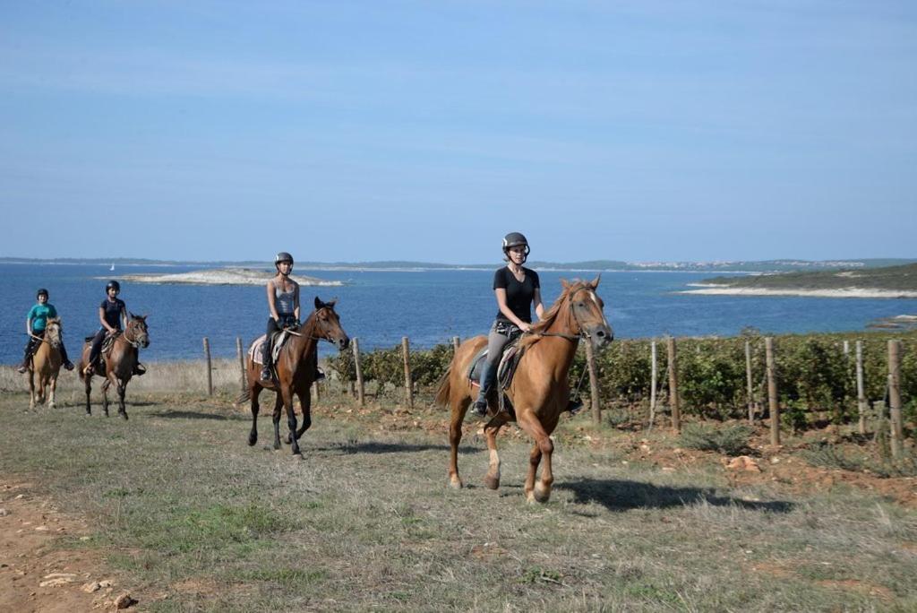 Grofica, New House, Heated Pool, Jacuzzi, Playgroung & Bbq, Near Beaches, - Istria